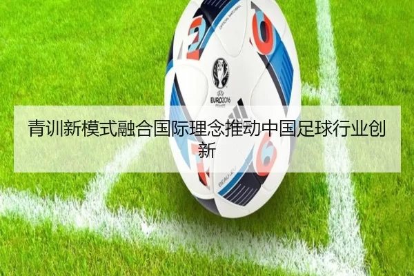 青训新模式融合国际理念推动中国足球行业创新