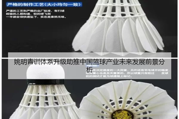 姚明青训体系升级助推中国篮球产业未来发展前景分析